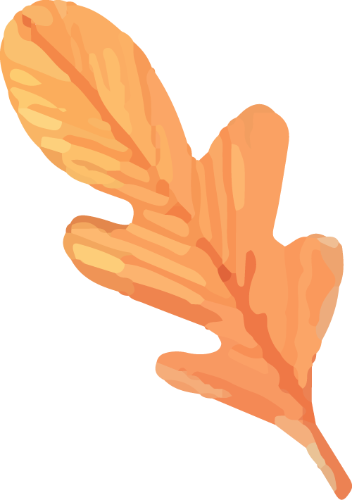 1758765559274405.png
