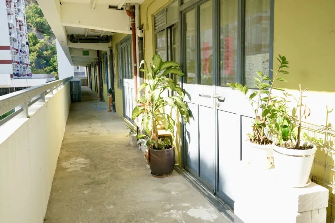 林建才工作室门口.jpg 林建才工作室门口.jpg